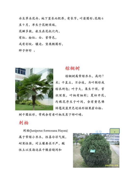 七年级上册生物学校园生物种类调查分析报告.docx