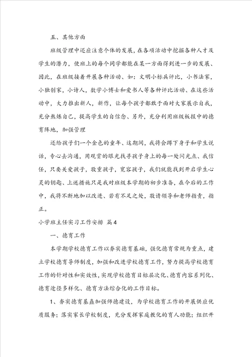 小学班主任实习工作计划