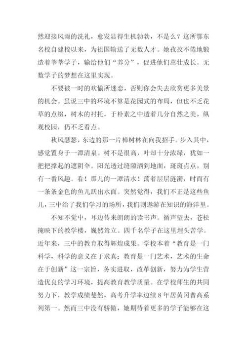 情系三中作文-1.docx