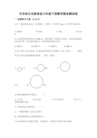 齐齐哈尔市泰来县六年级下册数学期末测试卷精品.docx