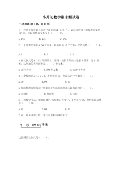 小升初数学期末测试卷及完整答案（有一套）.docx
