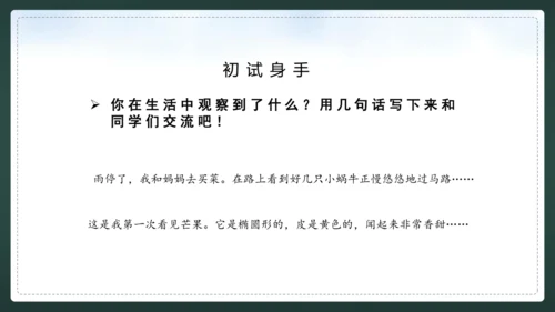 统编版语文三年级上册 第五单元  习作例文 我爱故乡的杨梅 课件