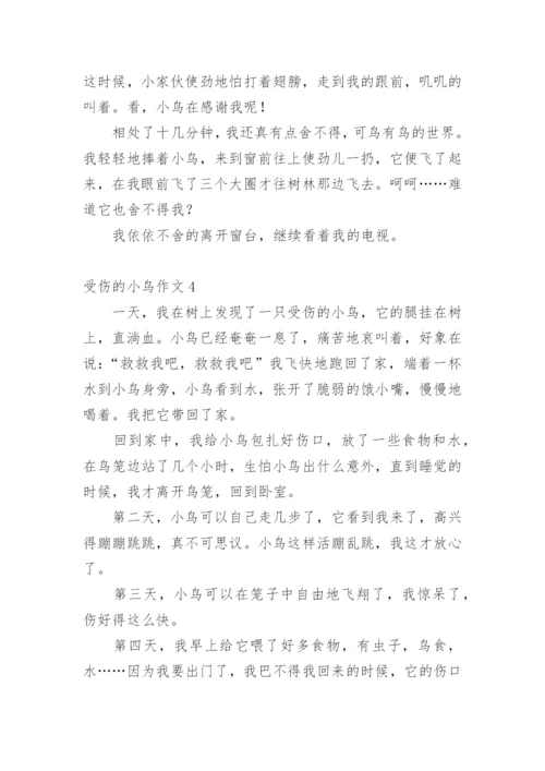 受伤的小鸟作文_18.docx