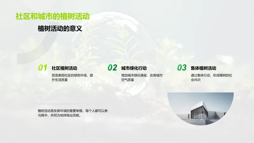 绿化地球，你我参与