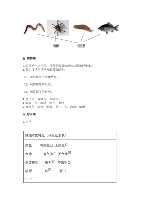 教科版一年级下册科学期末测试卷及答案（基础+提升）.docx