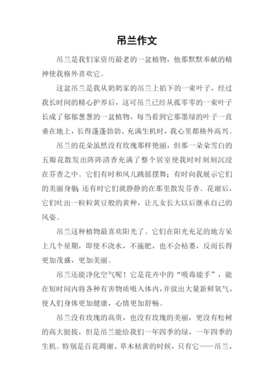 吊兰作文00.docx