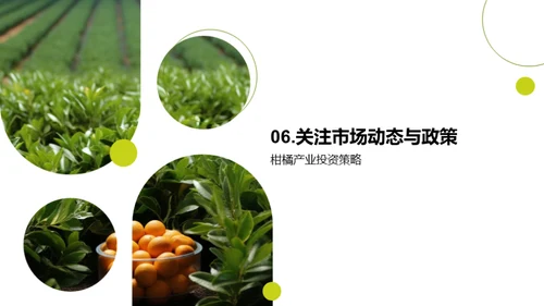 柑橘行业：挖掘投资新机遇