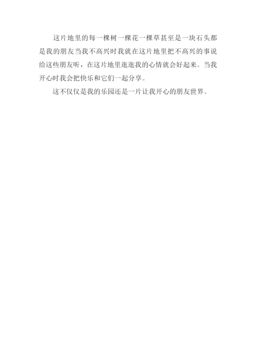 我的乐园作文400字.docx