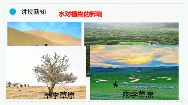 1.2.1生物与环境的关系课件2023--2024学年人教版生物七年级上册(共30张PPT)