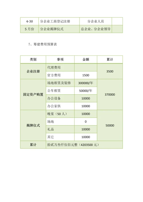 分公司筹建专项方案.docx