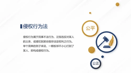 蓝色尊贵大气法学法治建设年终工作总结PPT