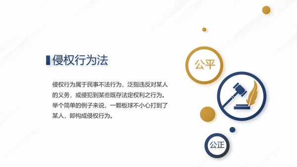 蓝色尊贵大气法学法治建设年终工作总结PPT
