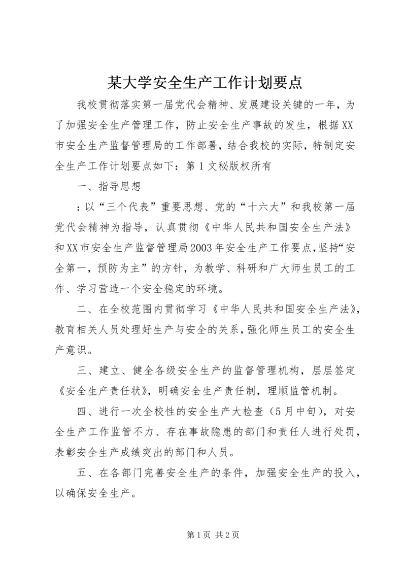 某大学安全生产工作计划要点 (2).docx