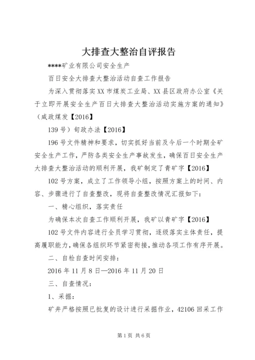 大排查大整治自评报告.docx