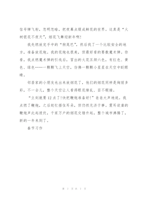 广州春节的作文5篇.docx