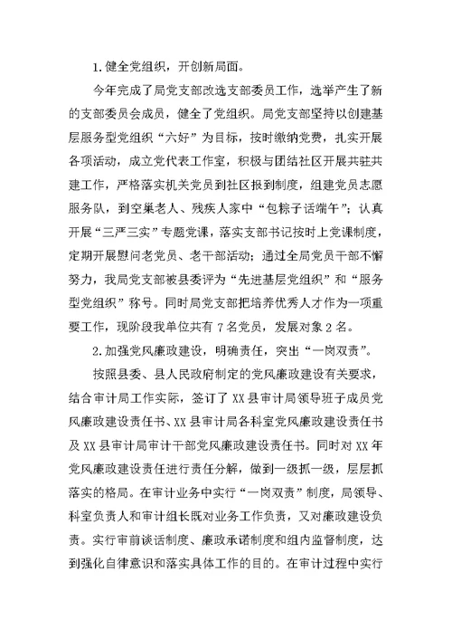 乡镇审计局年度工作总结及工作安排