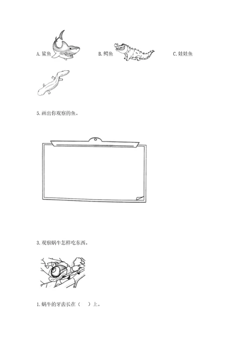 教科版科学一年级下册第二单元《动物》测试卷（含答案）