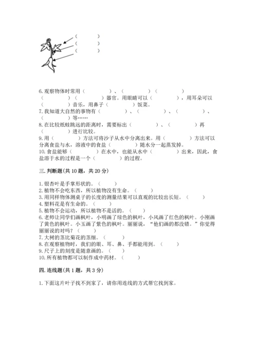 教科版小学一年级上册科学期末测试卷（有一套）.docx