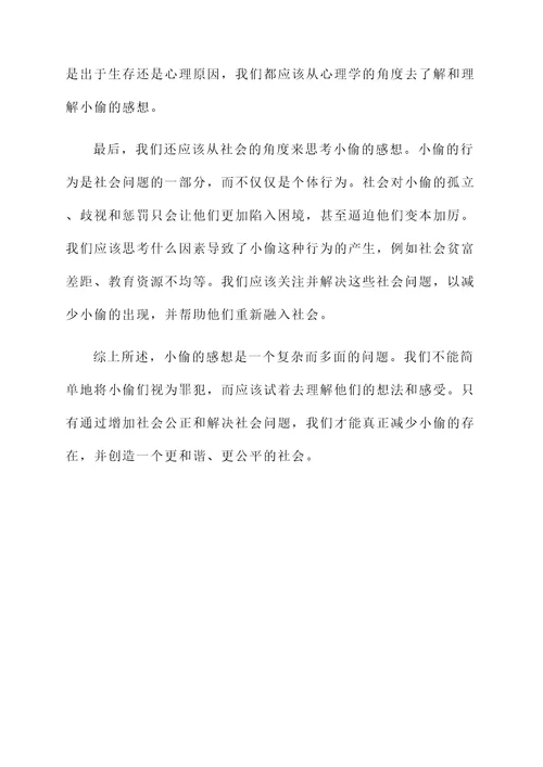 关于小偷的感想