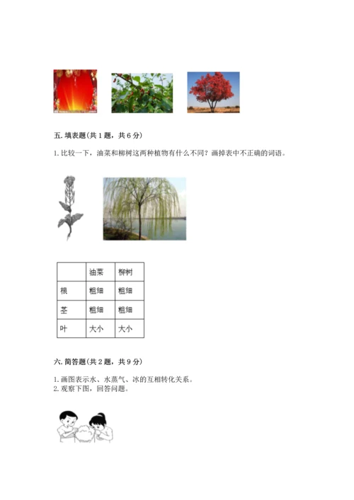 教科版科学一年级上册第一单元《植物》测试卷（精练）.docx