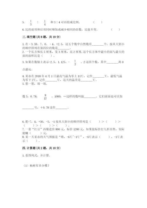 成都市都江堰市六年级下册数学期末测试卷标准卷.docx