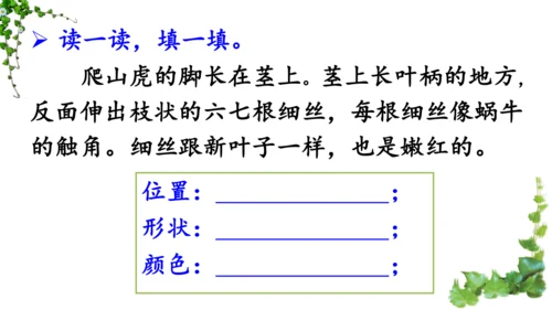 10 爬山虎的脚  课件