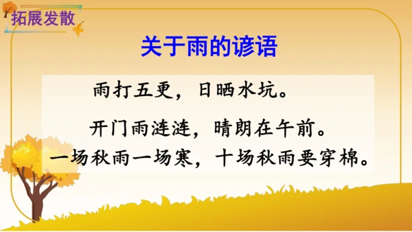 6 秋天的雨   课件