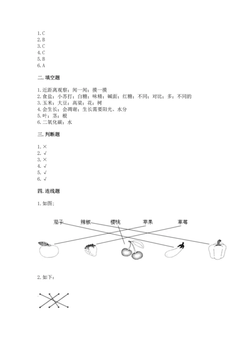 教科版科学一年级上册第一单元《植物》测试卷精品（预热题）.docx
