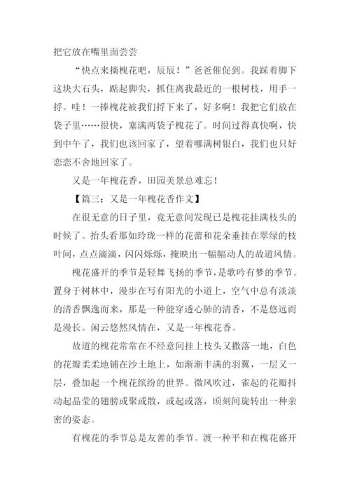 又是一年槐花香作文.docx
