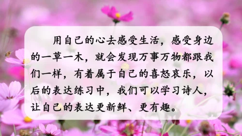 【同步课件】2.花的学校 课件（2课时）