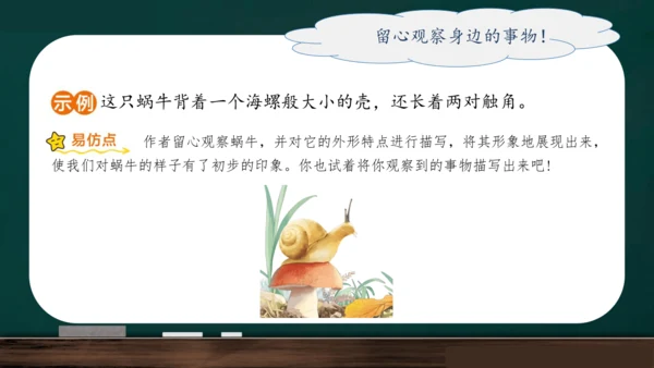 统编版语文三年级上册 第五单元习作： 我们眼中的缤纷世界课件