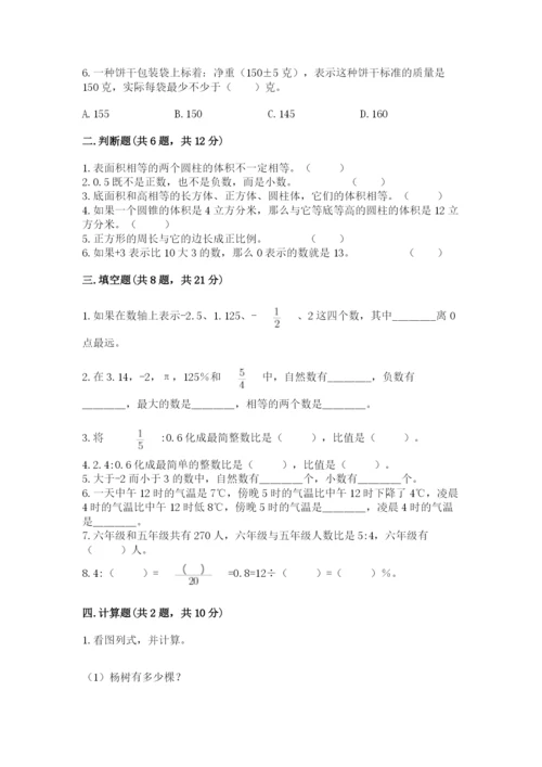 龙泉市六年级下册数学期末测试卷完美版.docx