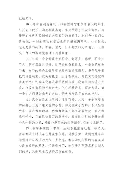 描写迎春花的优美句段.docx