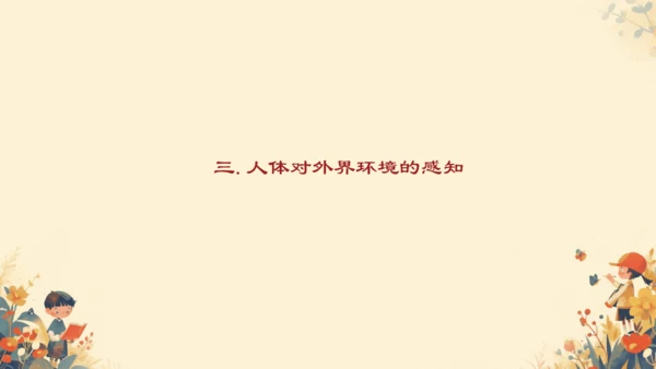 4.6.1  人体对外界环境的感知课件(共20张PPT)人教版 七年级下册