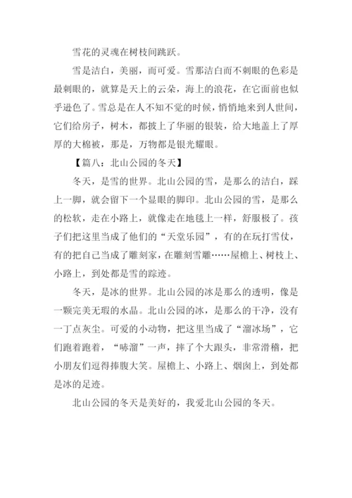 冬景作文300字0.docx