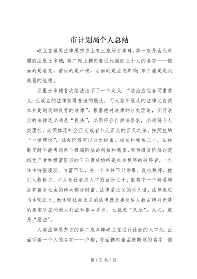 市计划局个人总结 (4).docx