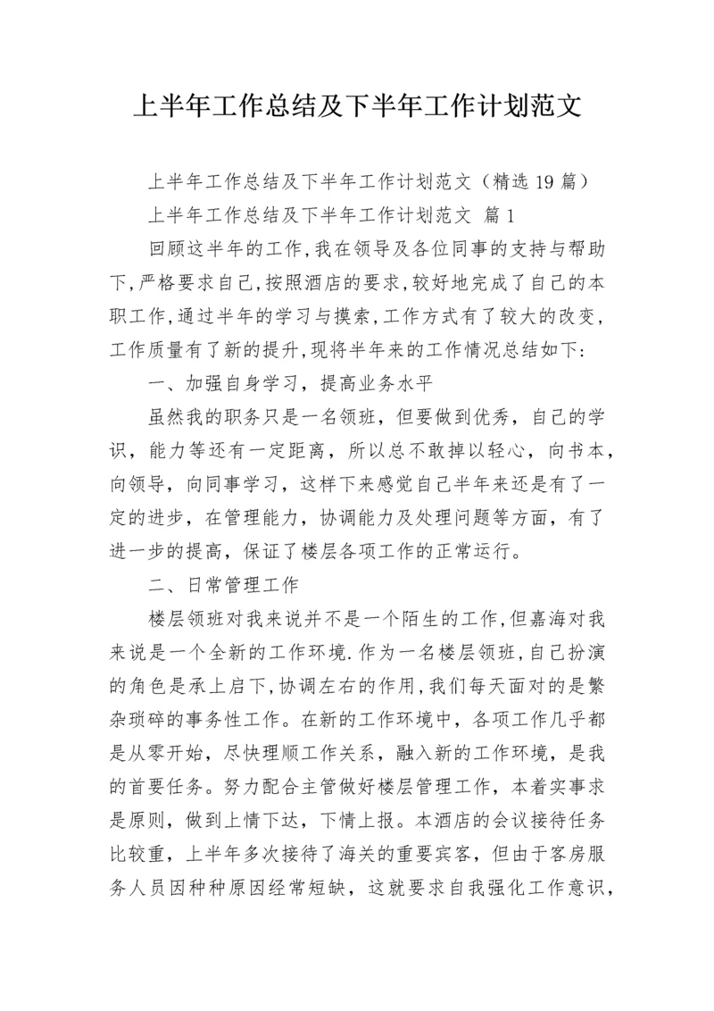 上半年工作总结及下半年工作计划范文.docx