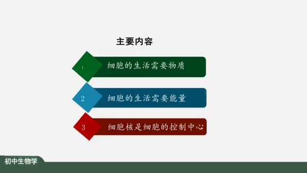 2.1.4  细胞的生活 课件（共26张PPT）