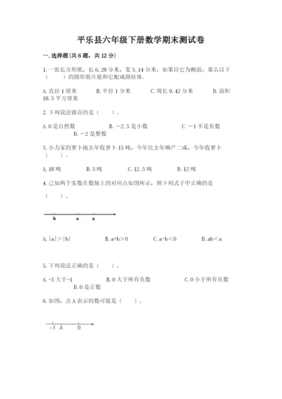 平乐县六年级下册数学期末测试卷推荐.docx