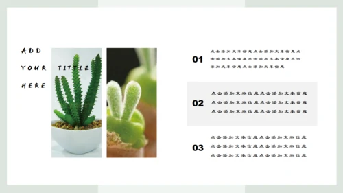盆栽花园小清新绿植仙人掌通用PPT模板