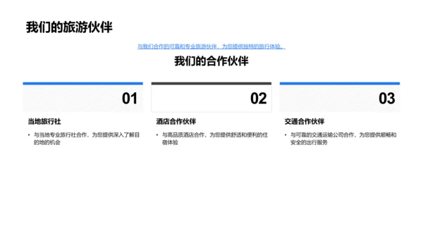 旅游服务全面解析PPT模板