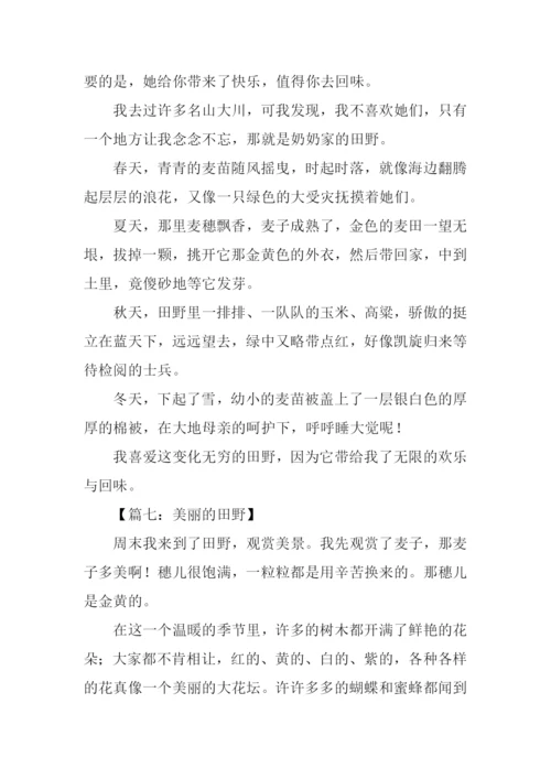 美丽的田野作文300字.docx