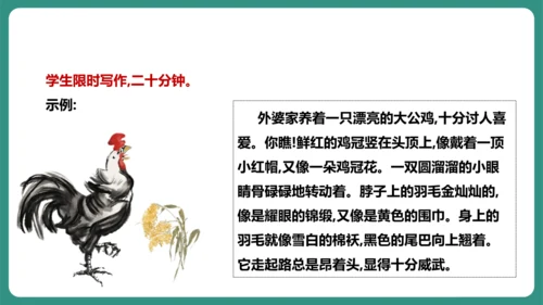 七年级语文上册第五单元 任务三 记述与动物的相处 课件-【课堂无忧】新课标同步核心素养课堂
