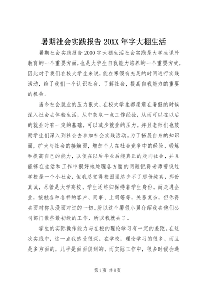 暑期社会实践报告20XX年字大棚生活.docx