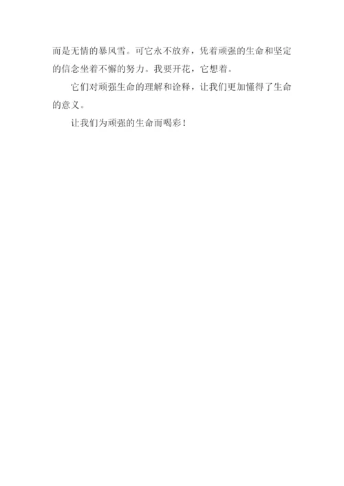 顽强的生命作文500字.docx