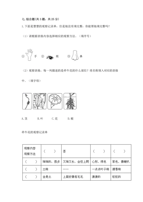 教科版小学一年级上册科学期末测试卷及完整答案【全优】.docx