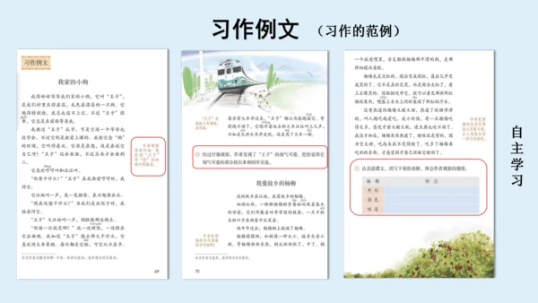 部编版三年级语文上册 第五单元习作例文：我家的小狗  课件