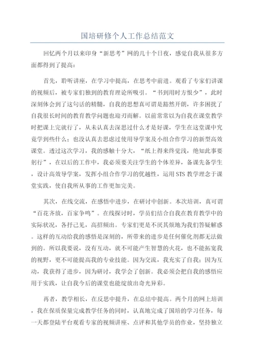 国培研修个人工作总结范文.docx