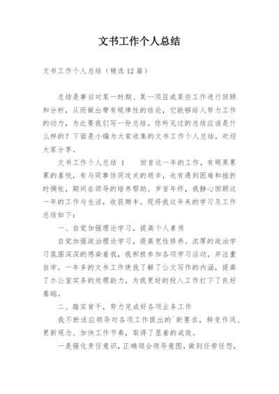 文书工作个人总结.docx