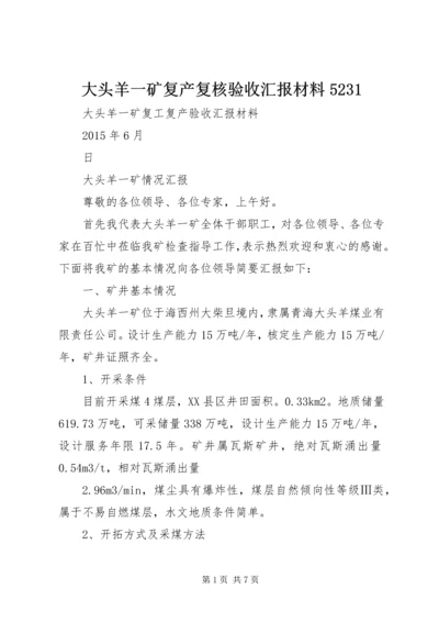 大头羊一矿复产复核验收汇报材料5231.docx